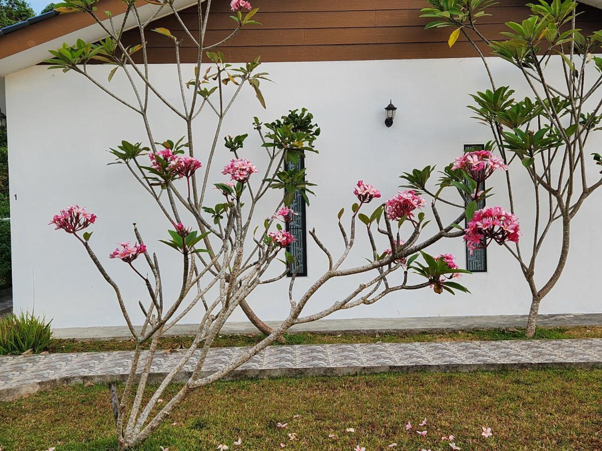 شقة Halcyon Days @ Langkawi بانتايْ تْشينانغ المظهر الخارجي الصورة
