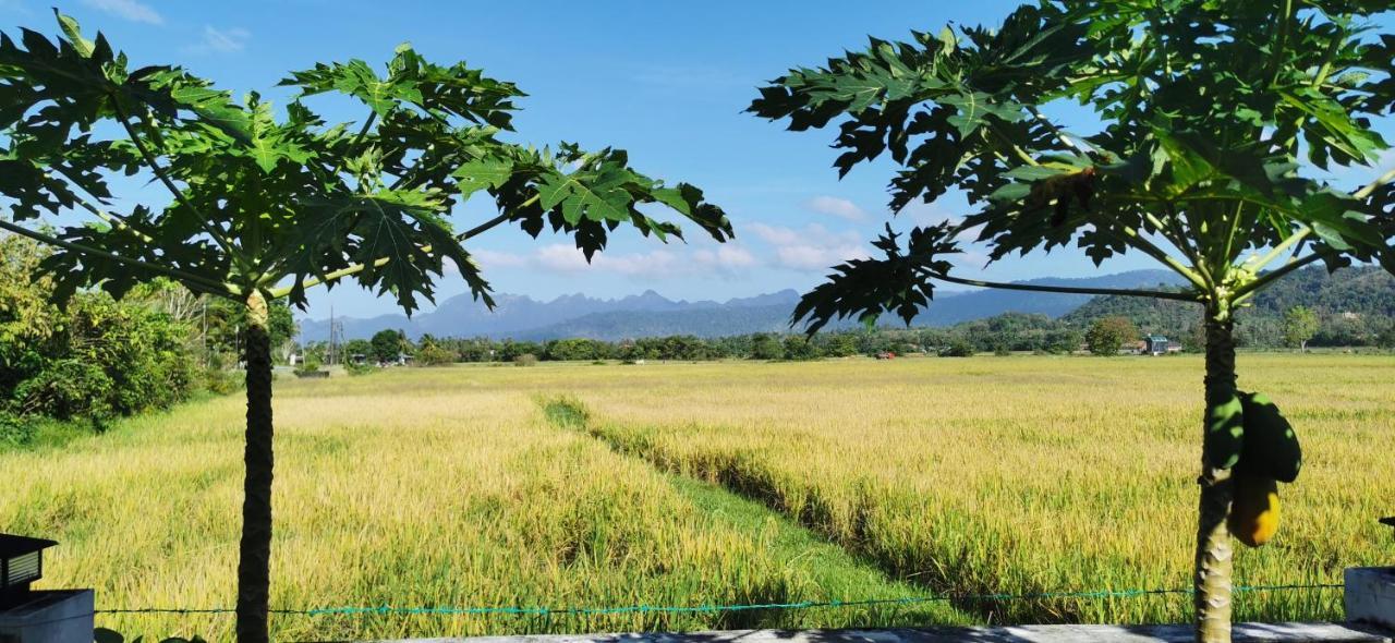 شقة Halcyon Days @ Langkawi بانتايْ تْشينانغ المظهر الخارجي الصورة