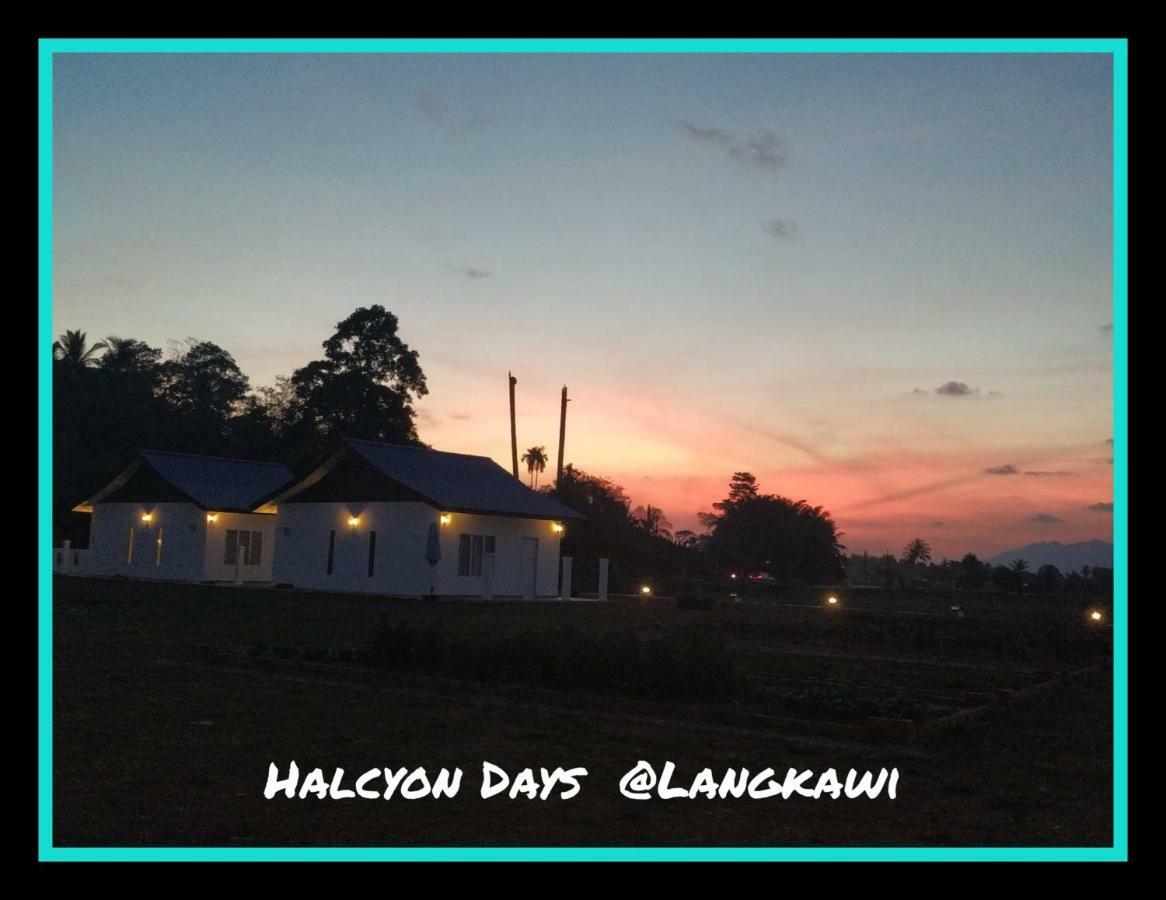 شقة Halcyon Days @ Langkawi بانتايْ تْشينانغ المظهر الخارجي الصورة