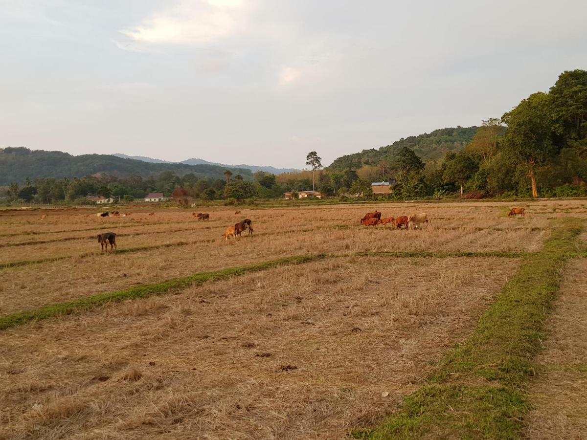 شقة Halcyon Days @ Langkawi بانتايْ تْشينانغ المظهر الخارجي الصورة